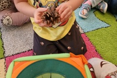 11116