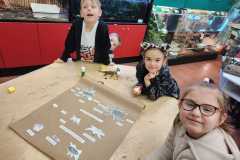 WhatsApp-Image-2026-02-06-at-12.05.55