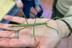 WhatsApp-Image-2026-02-06-at-13.43.40-6