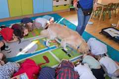 WhatsApp-Image-2026-03-03-at-15.01.08-1