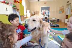 WhatsApp-Image-2026-03-03-at-15.01.08-3