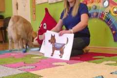 WhatsApp-Image-2026-03-03-at-16.15.21-2