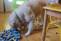 WhatsApp-Image-2026-03-03-at-16.15.21-3