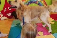 WhatsApp-Image-2026-03-03-at-16.15.22-1