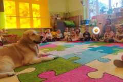 WhatsApp-Image-2026-03-03-at-16.15.22