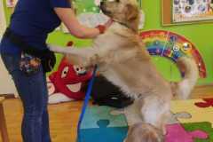 WhatsApp-Image-2026-03-04-at-06.51.40-1