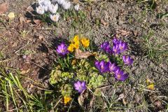 WhatsApp-Image-2026-03-23-at-09.33.01-10