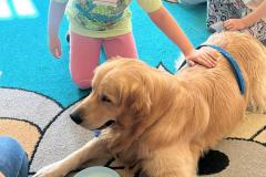 WhatsApp-Image-2026-03-03-at-14.51.31-10