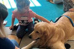 WhatsApp-Image-2026-03-03-at-14.51.31-11