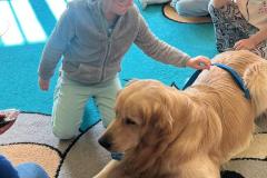 WhatsApp-Image-2026-03-03-at-14.51.31-12