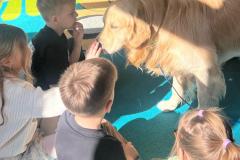 WhatsApp-Image-2026-03-03-at-14.51.31-3